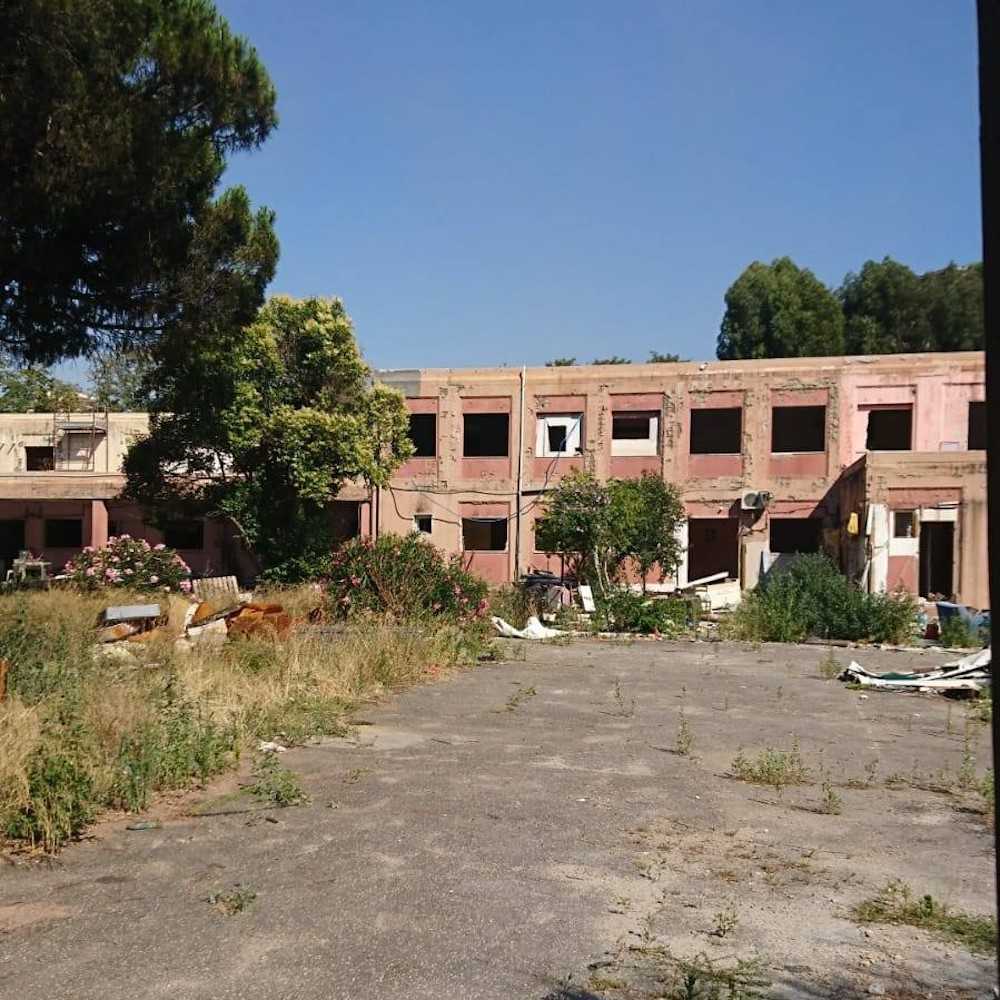 cardinal capranica oggi