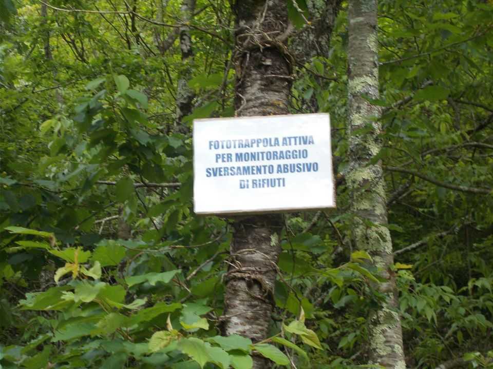 fototrappola fototrappole bosco fototrappola fototrappole bosco