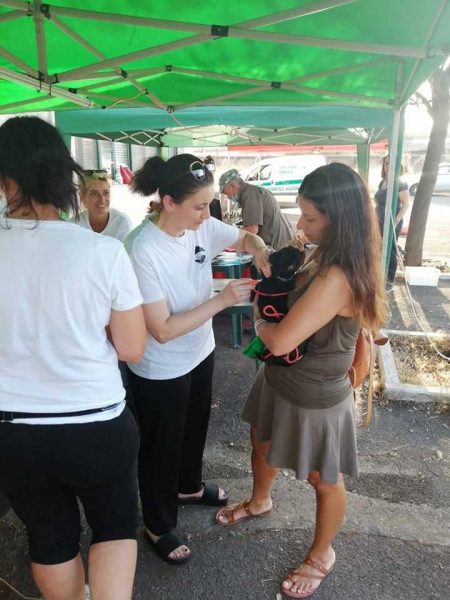 giornata microchip emergenze pelose civitavecchia 1
