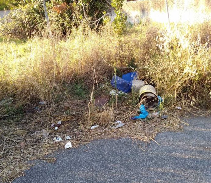 marciapiede via capri ladispoli erbacce camion (1)