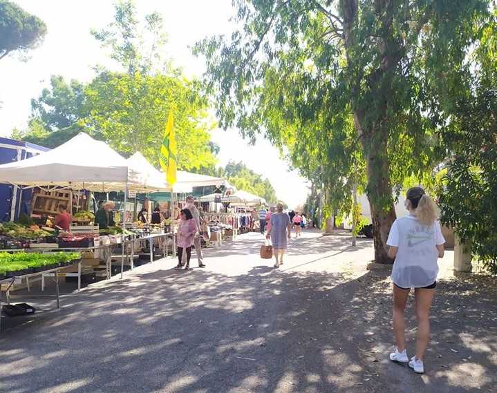 mercato santa marinella 1 mercato santa marinella 1