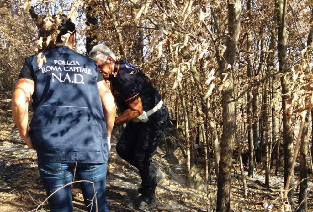 polizia locale rimozione mezzi parco acquedotto 290720