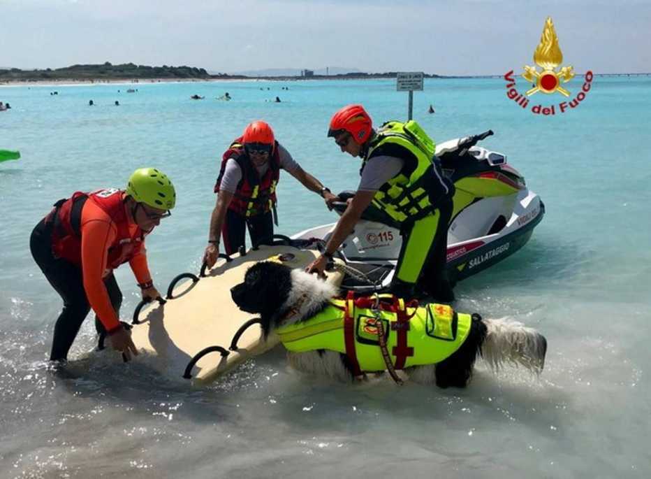pompieri spiagge spiaggia bianche vvf vigili fuoco cane salvataggio