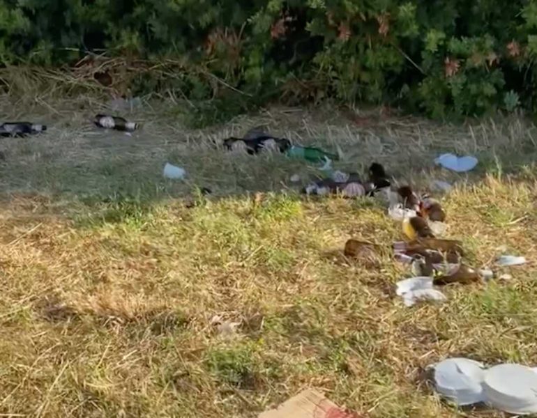 primavalle parco anna bracci 2