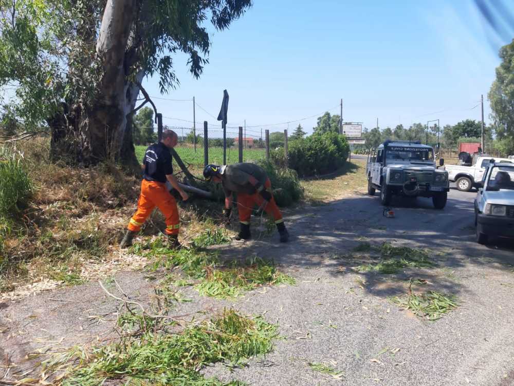 prociv protezione civile cerveteri (2)