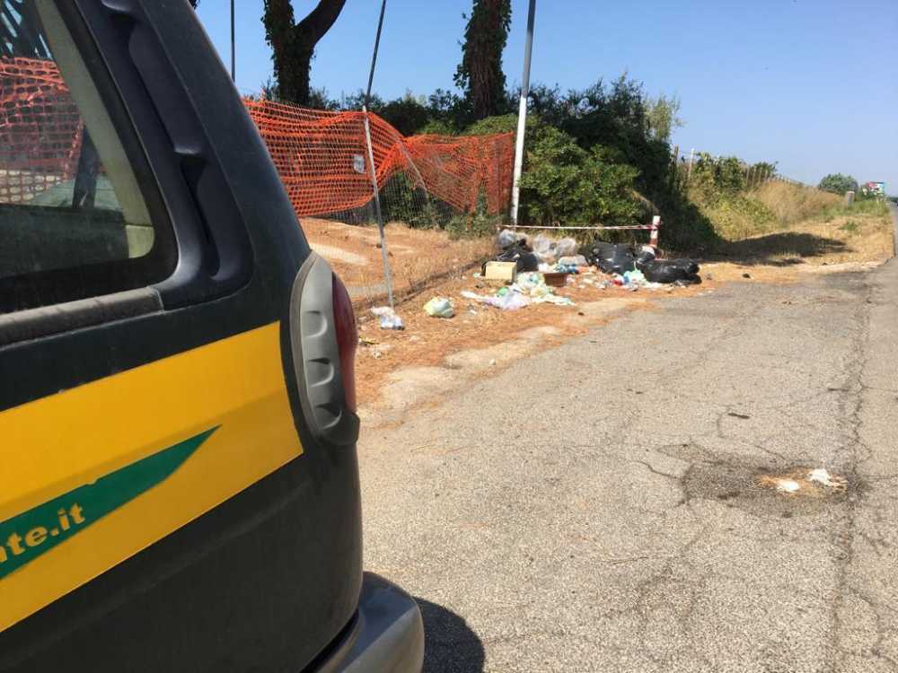 rifiuti ecozoofile fareambiente cerveteri discarica aurelia