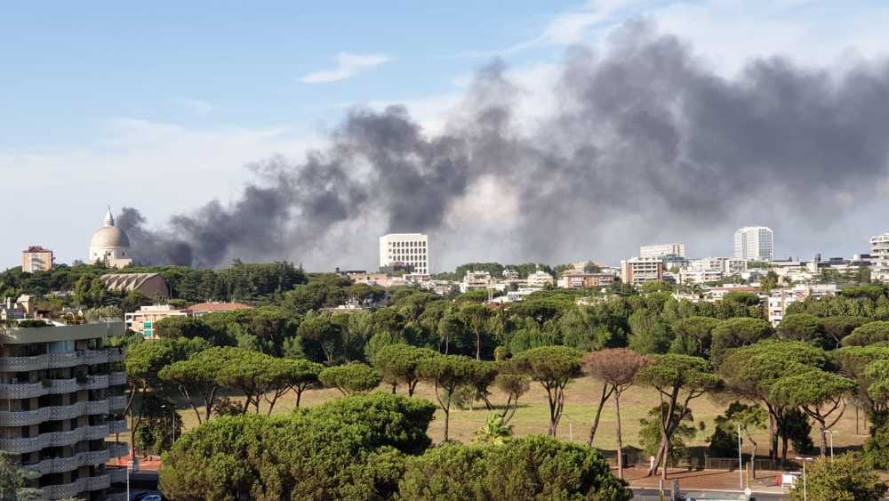 839BFA76-50DE-4A72-ACCB-F88F054CCD96