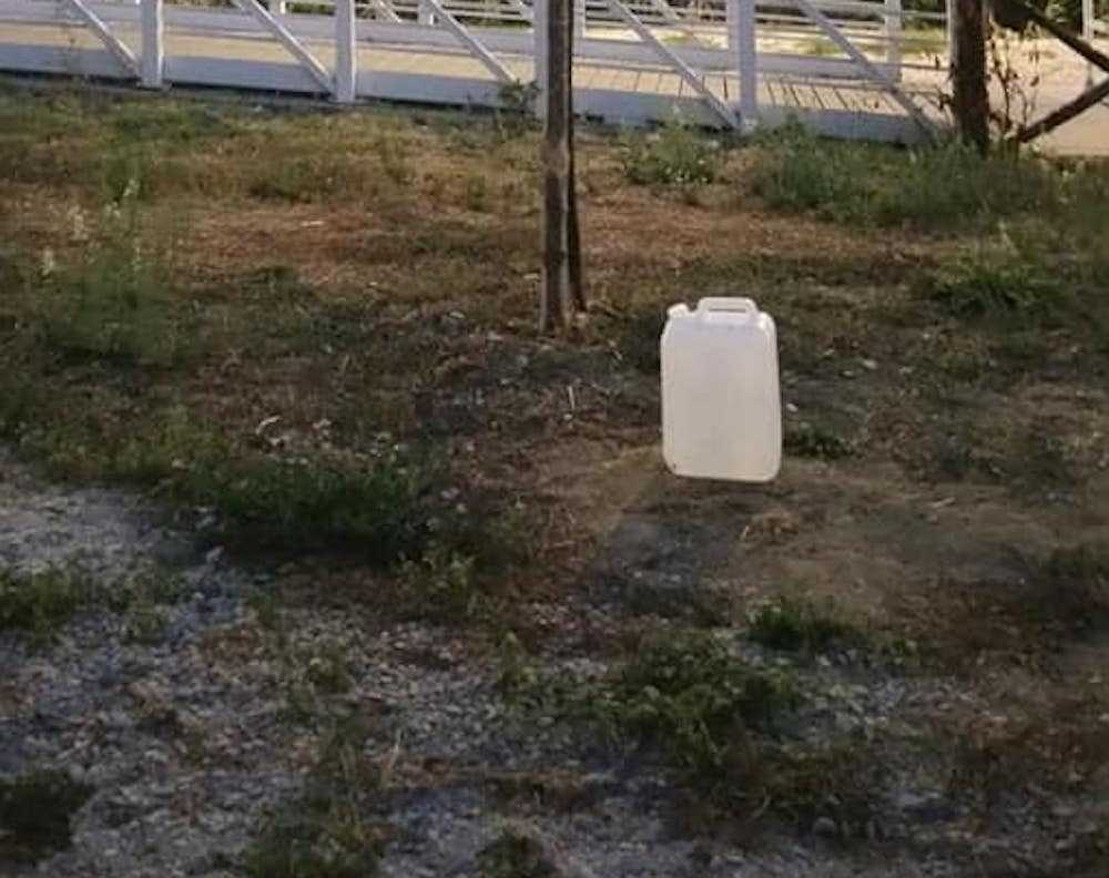 GIARDINI ZONA MESSICO