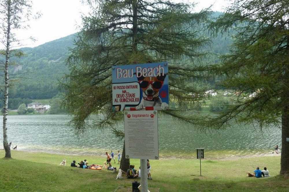 bau beach spiaggia cani lago 3
