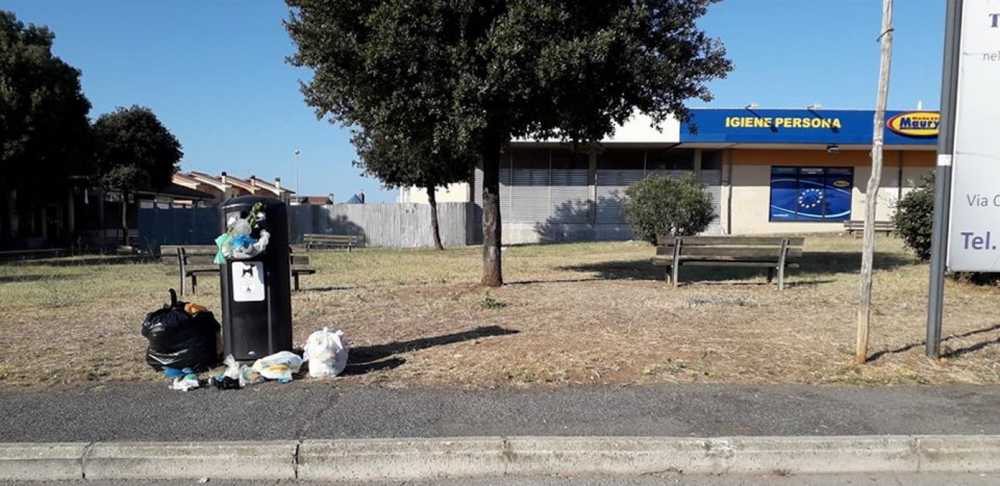 cestini pieni ladispoli cestini pieni ladispoli