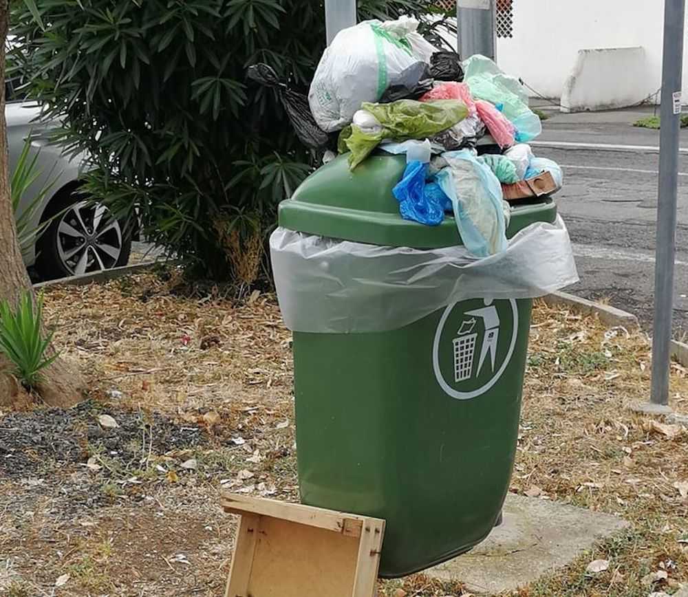 cestino cani cestino cani