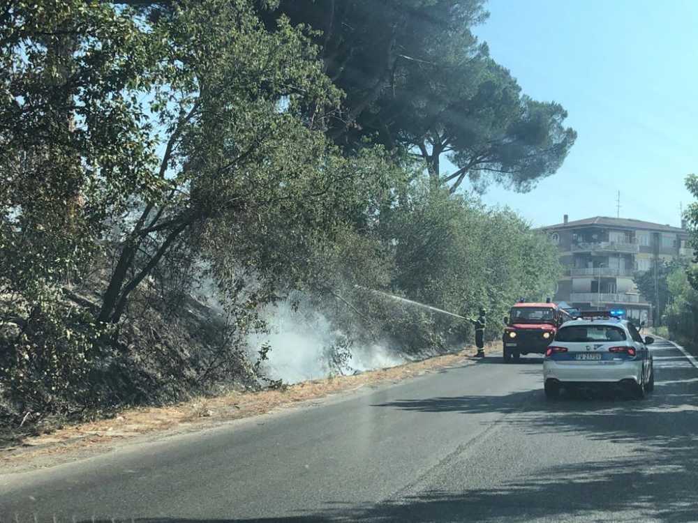 incendio aurelia vigili fuoco vvf pompieri polizia municipale locale roma capitale 1 (4) incendio aurelia vigili fuoco vvf pompieri polizia municipale locale roma capitale 1 (1)