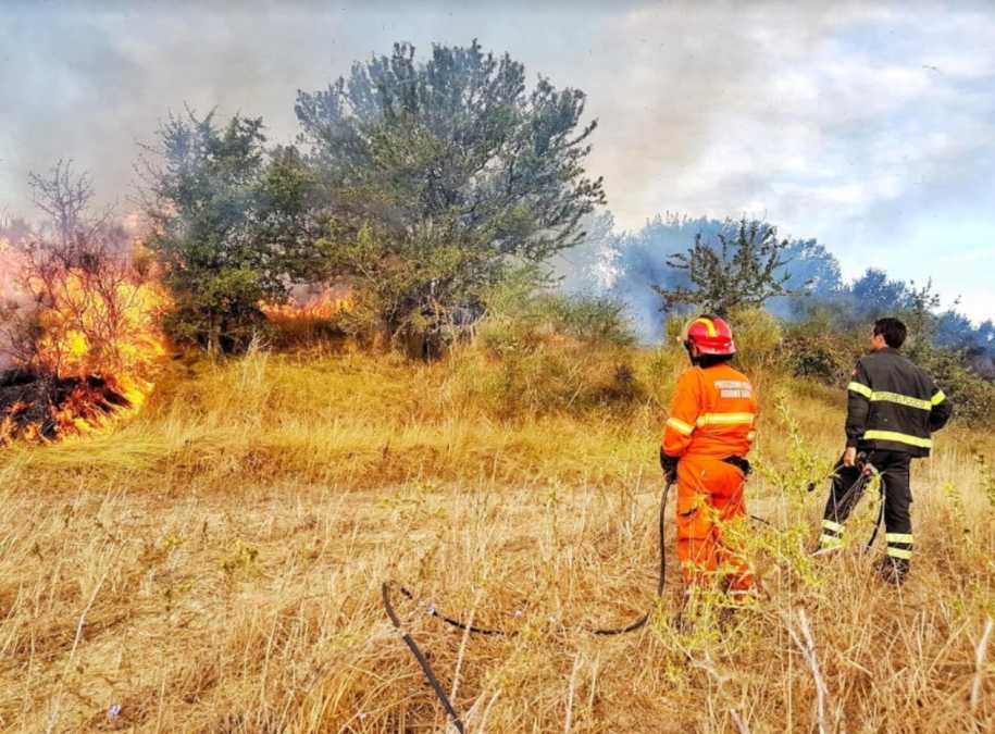 incendio tarquinia 070820 2 incendio tarquinia 070820 2