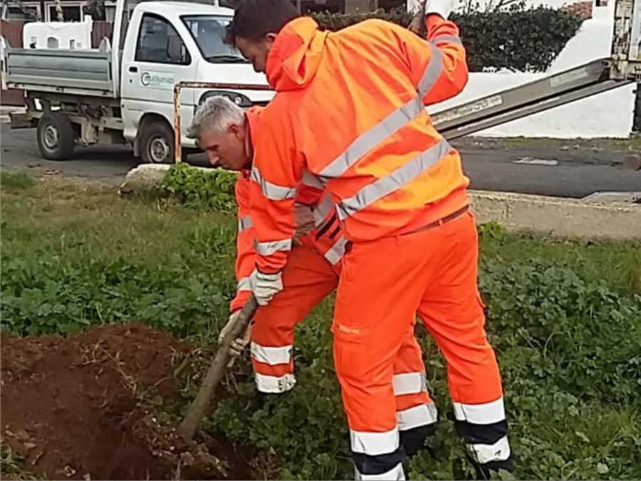 interventi multiservizi cerveteri 070820