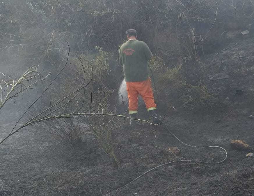 Incendio a Cerveteri: a fuoco sterpaglie e macchia mediterranea