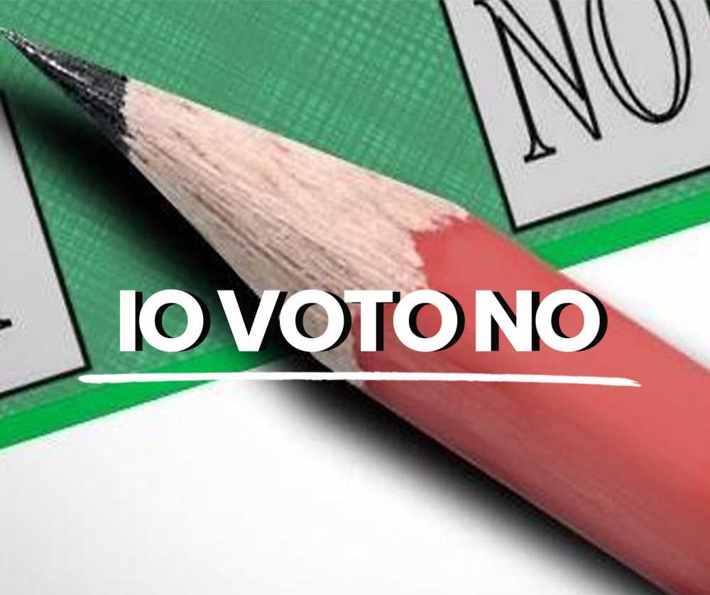 referendum no referendum no