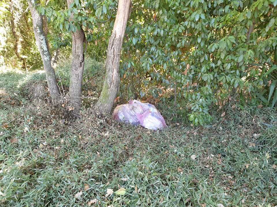 rifiuti campagna bosco valcanneto cerveteri