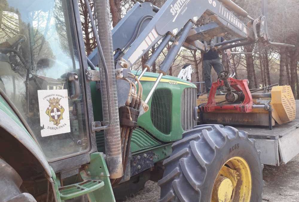 UniAgraria Tarquinia rinforza le fasce parafuoco nelle pinete”