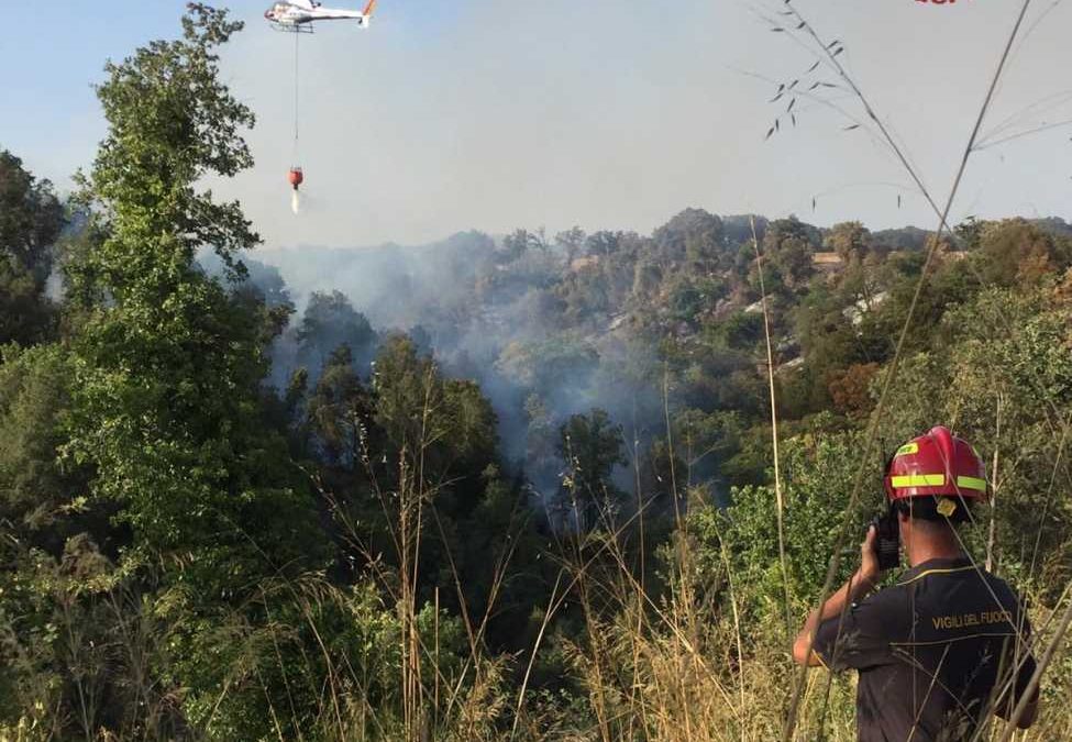 Tre ettari di sterpaglie in fiamme a Civitavecchia