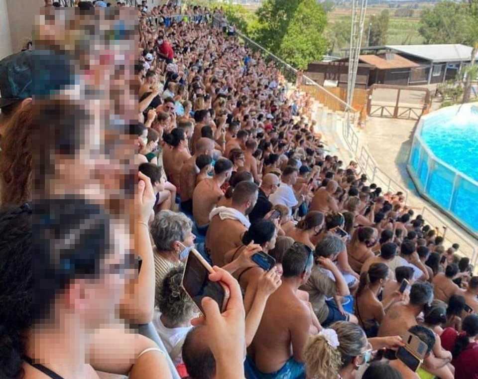 zoomarine assembramenti folla 1