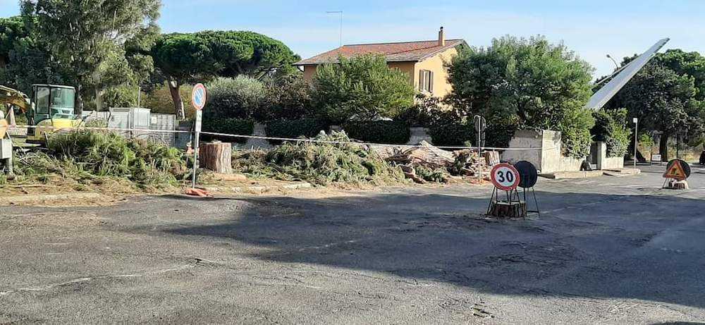 pini ladispoli pini ladispoli