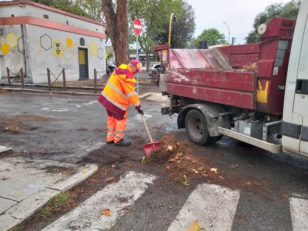 Viale Ostiense (set. 2020) - foglie