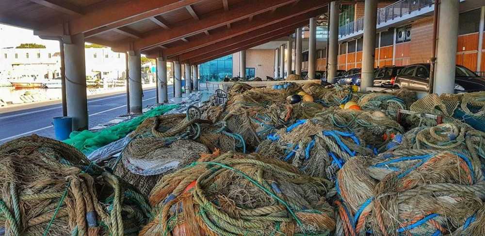 darsena porto civitavecchia pesce pescato reti pesca 2