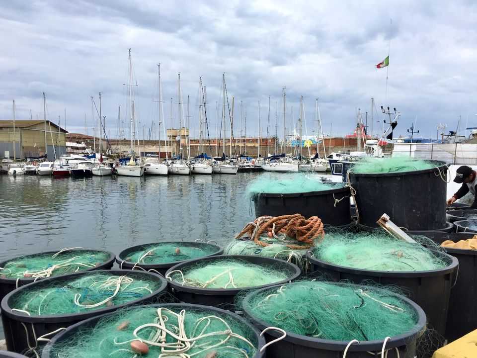 darsena porto civitavecchia pesce pescato reti pesca