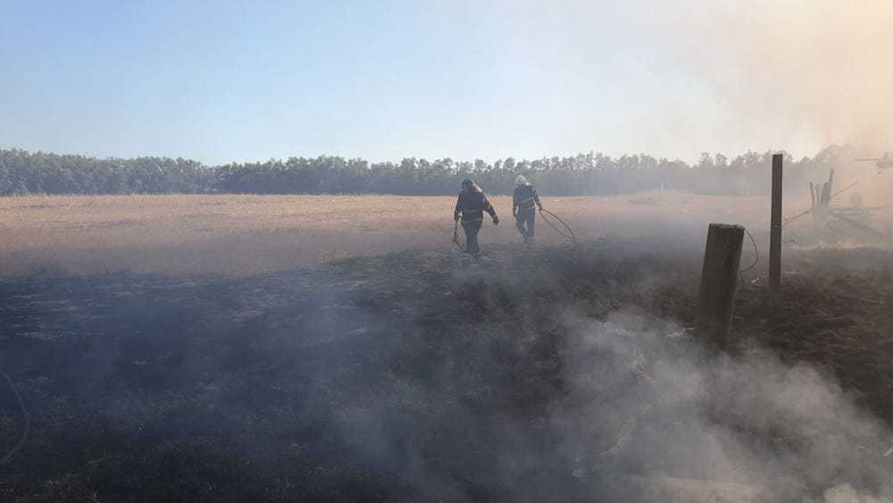 incendio parco da vinci 2