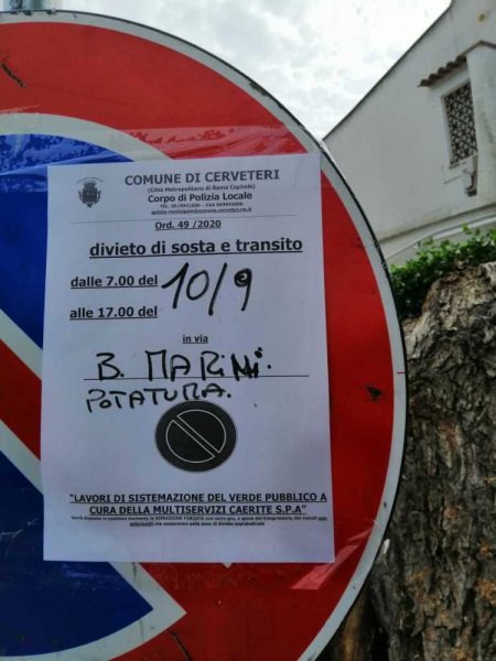 potatura alberi cerveteri 2