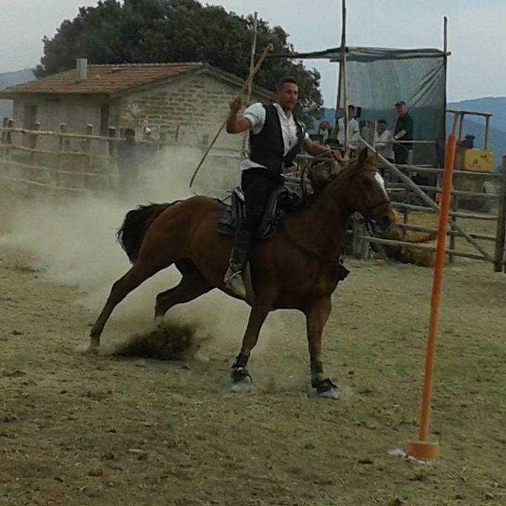 tiziano magagnini buttero 1