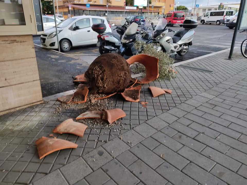vaso danni vandali viale italia ladispoli