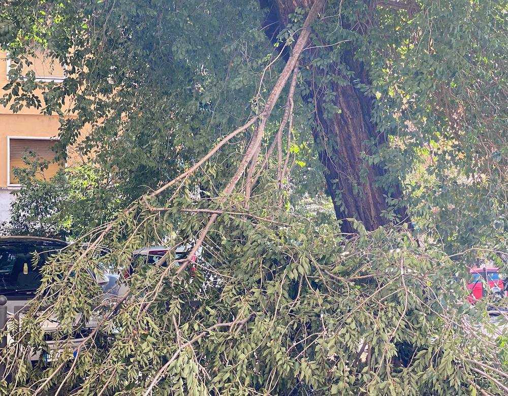 via lanciani via lanciani