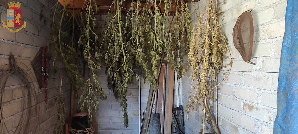 01 con logo 01 con logo