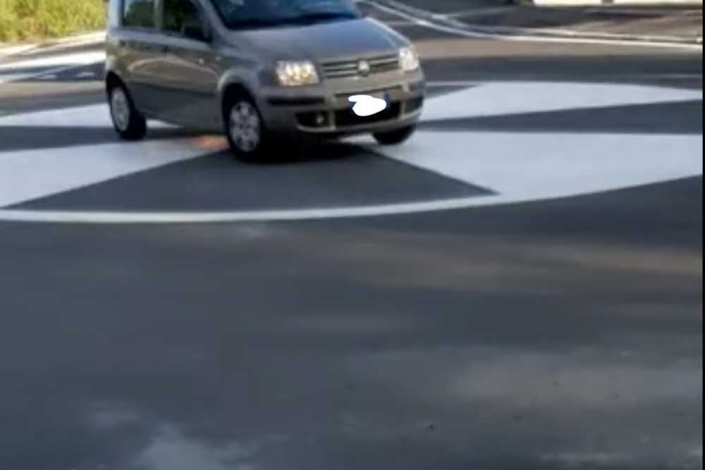 rotatoria pisana rotatoria pisana