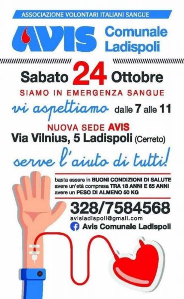 avis ladispoli