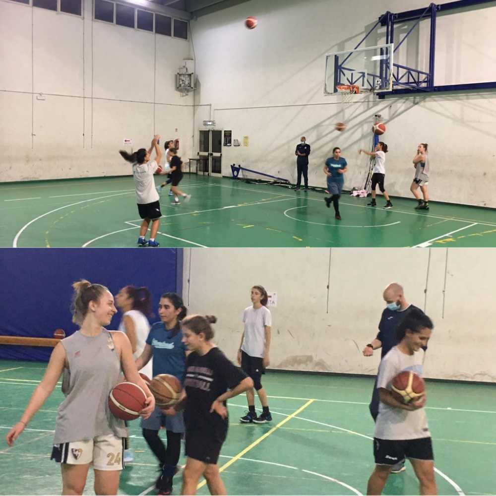 basket Dinamo ladispoli basket Dinamo ladispoli