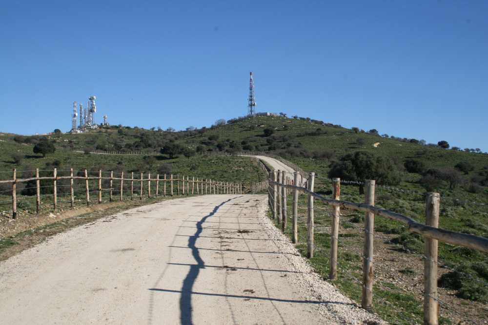 UniAgraria Civitavecchia: “Interventi su ulivi, pascoli e boschi alla Castellina”