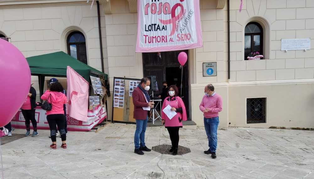 pasquini landi tolfa komen pasquini landi tolfa komen