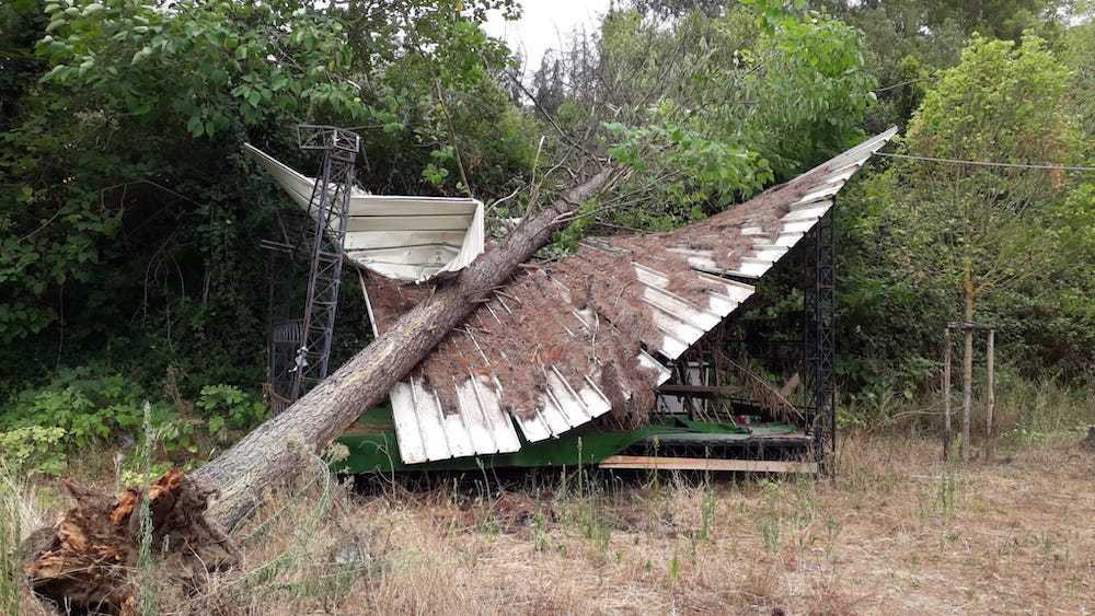 pinetina parco cellulosa