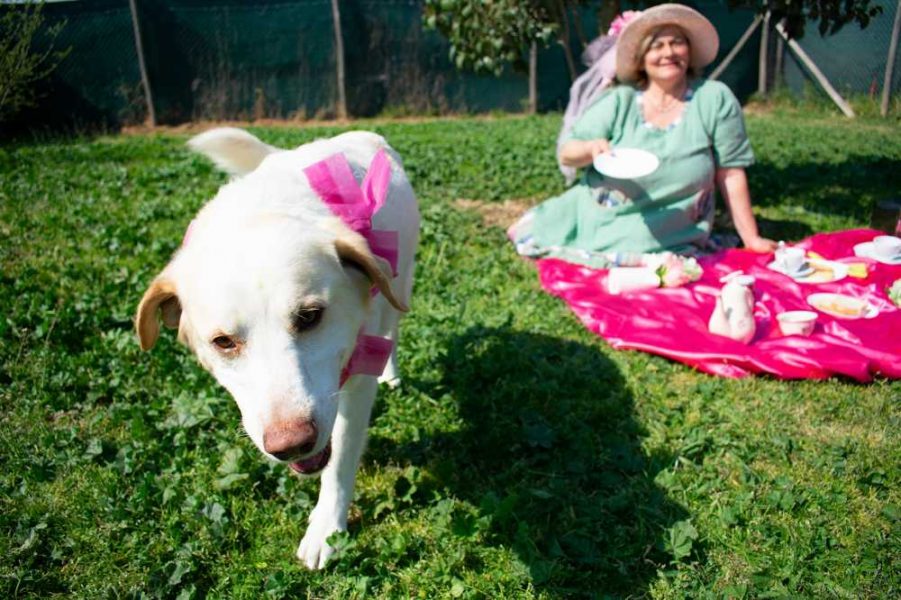 calendario 2021 presentazione