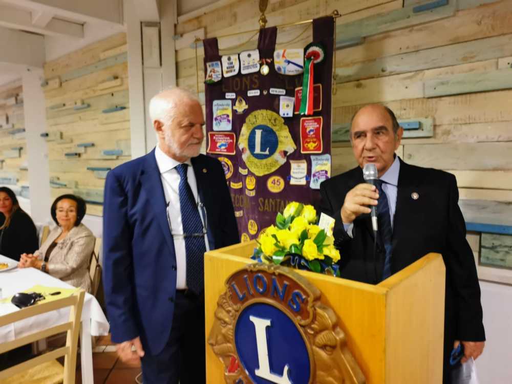 carluccio lions carluccio lions