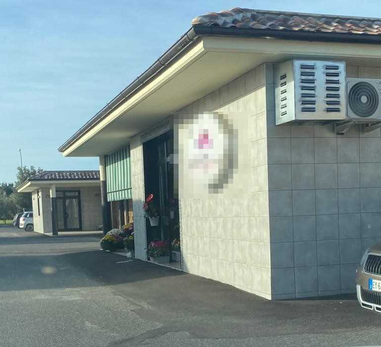 chioschi fiori fiorai ladispoli