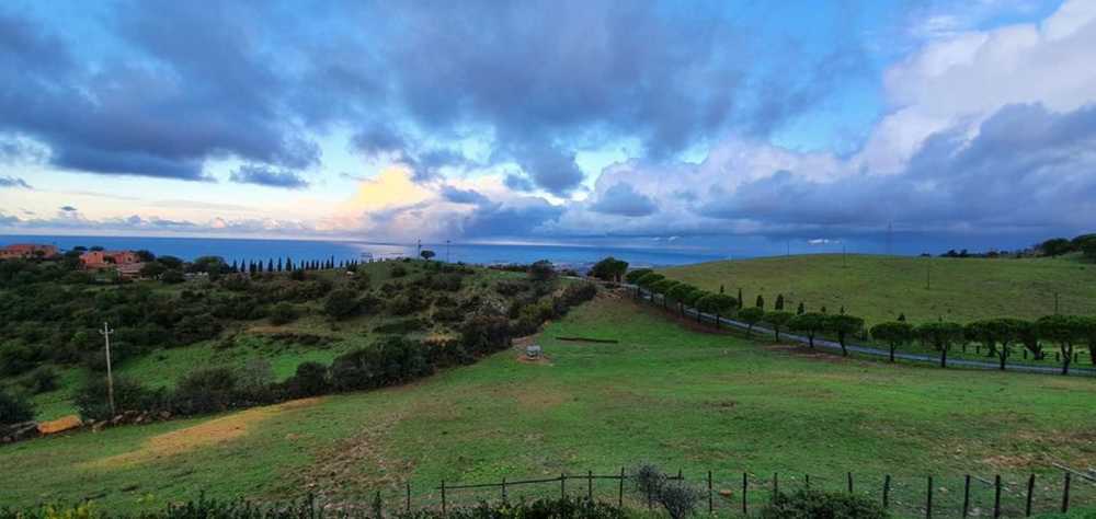 colline argento civitavecchia usi civici 1