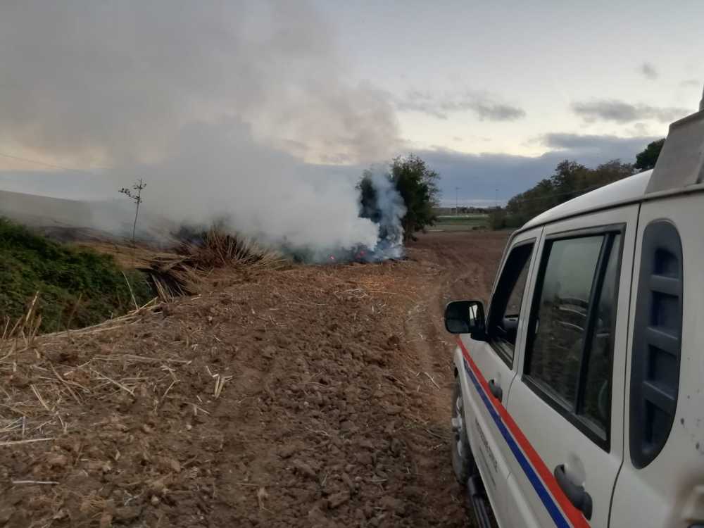 incendio sterpaglie aeopc tarquinia