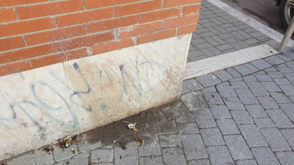 lungomare regina elena sporco ladispoli (2)