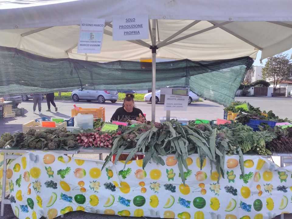mercatino cerenova ortofrutta mercatino cerenova ortofrutta