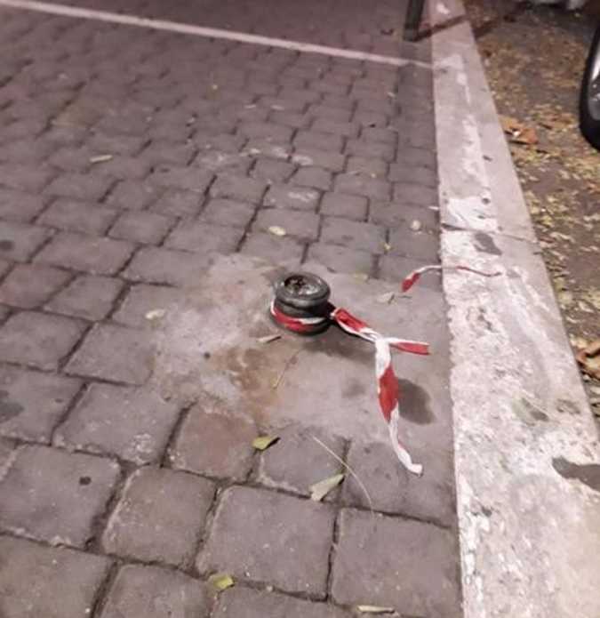 paletto segato ladispoli paletto segato ladispoli