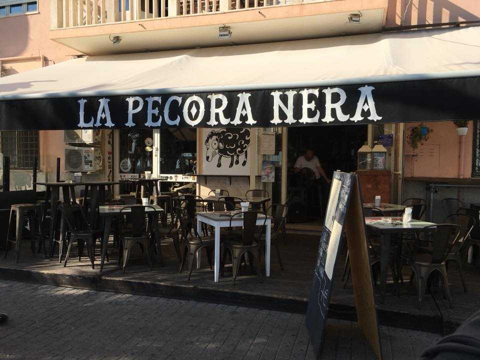 pecora nera civitavecchia 1 pecora nera civitavecchia