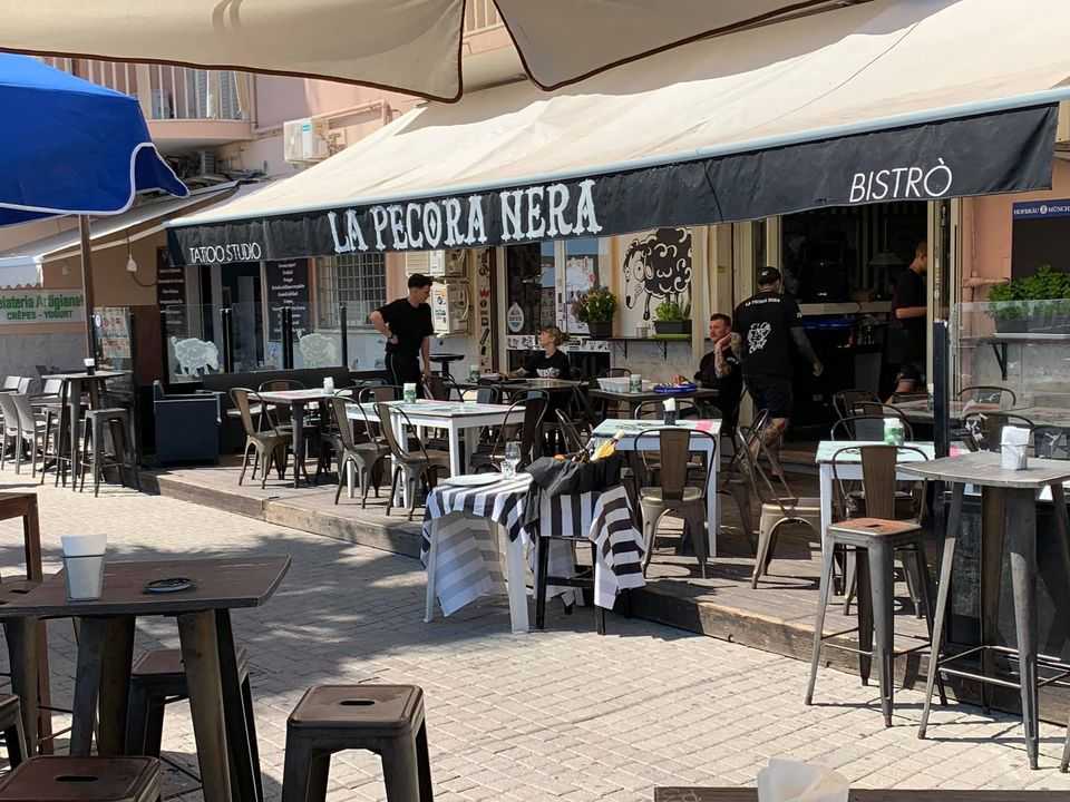 pecora nera civitavecchia pecora nera civitavecchia